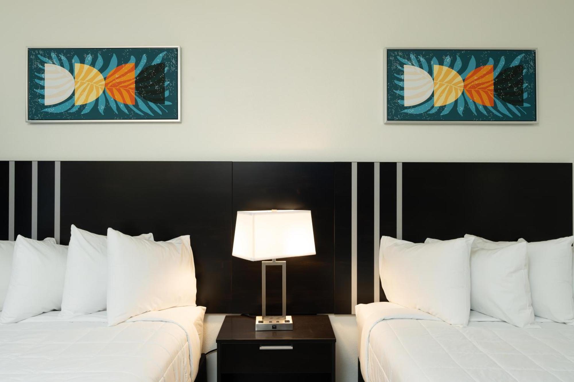 Oasis Bay Suites, Tampa, Busch Gardens, Usf Bagian luar foto