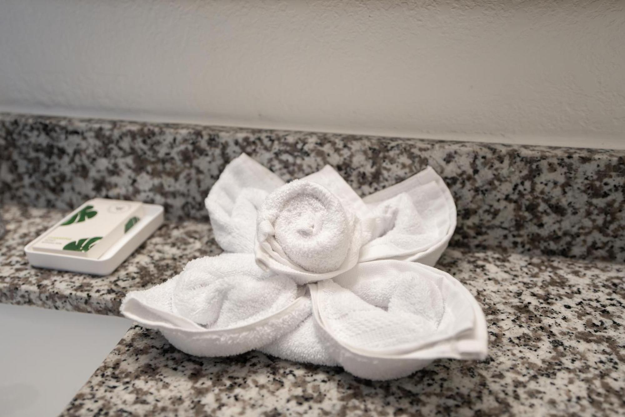 Oasis Bay Suites, Tampa, Busch Gardens, Usf Bagian luar foto