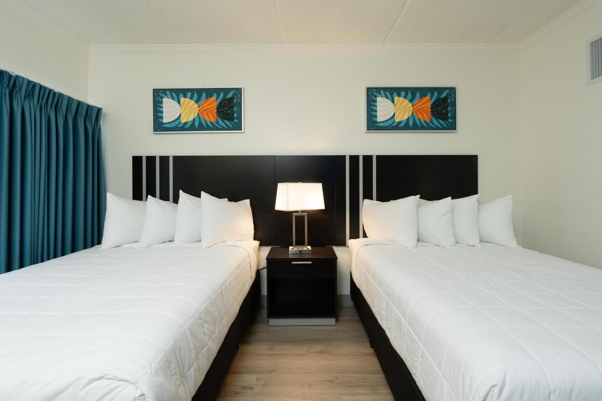 Oasis Bay Suites, Tampa, Busch Gardens, Usf Bagian luar foto