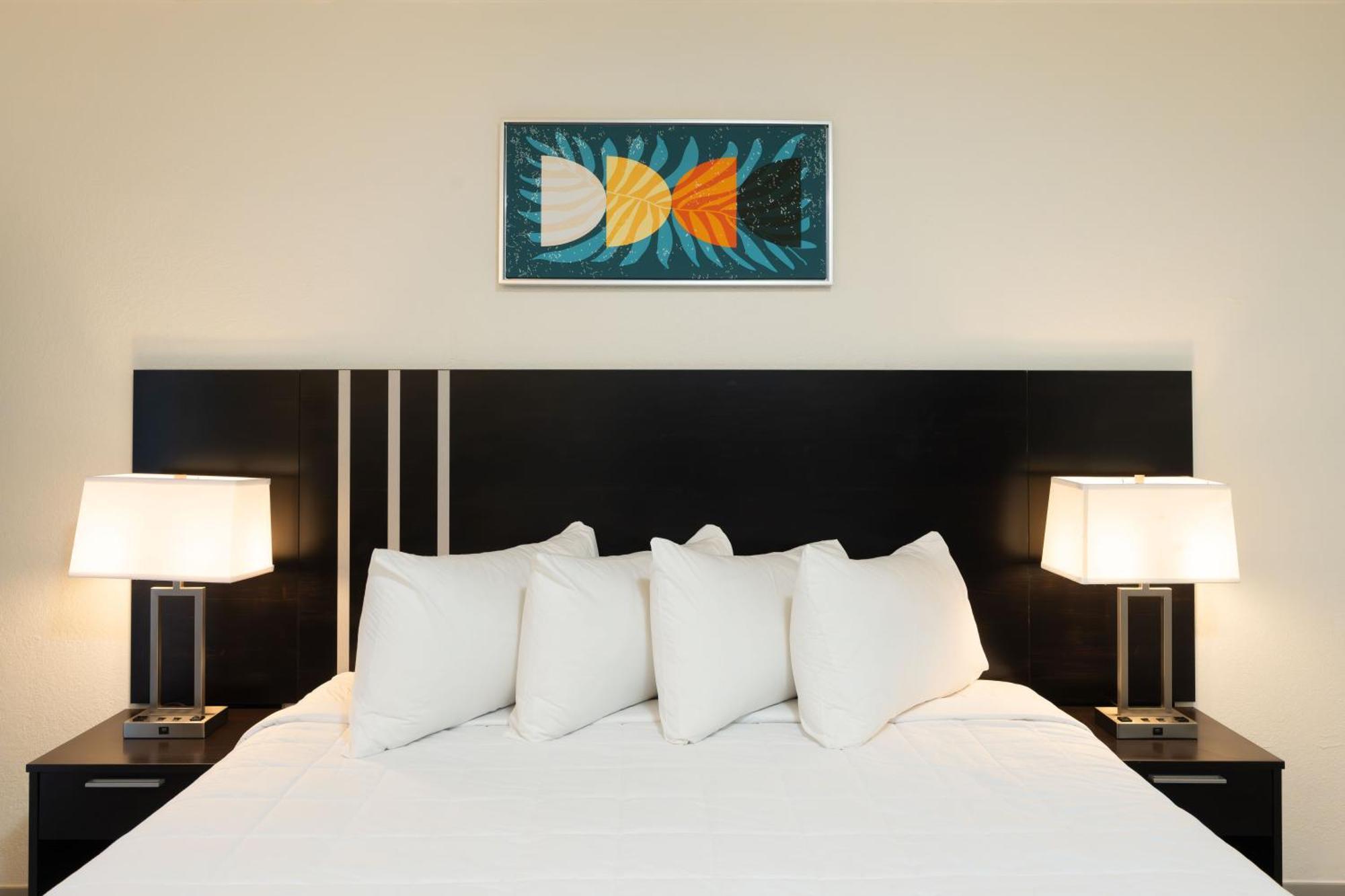 Oasis Bay Suites, Tampa, Busch Gardens, Usf Bagian luar foto