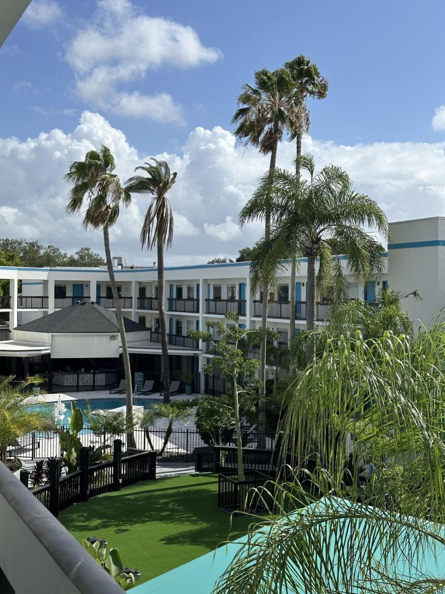 Oasis Bay Suites, Tampa, Busch Gardens, Usf Bagian luar foto